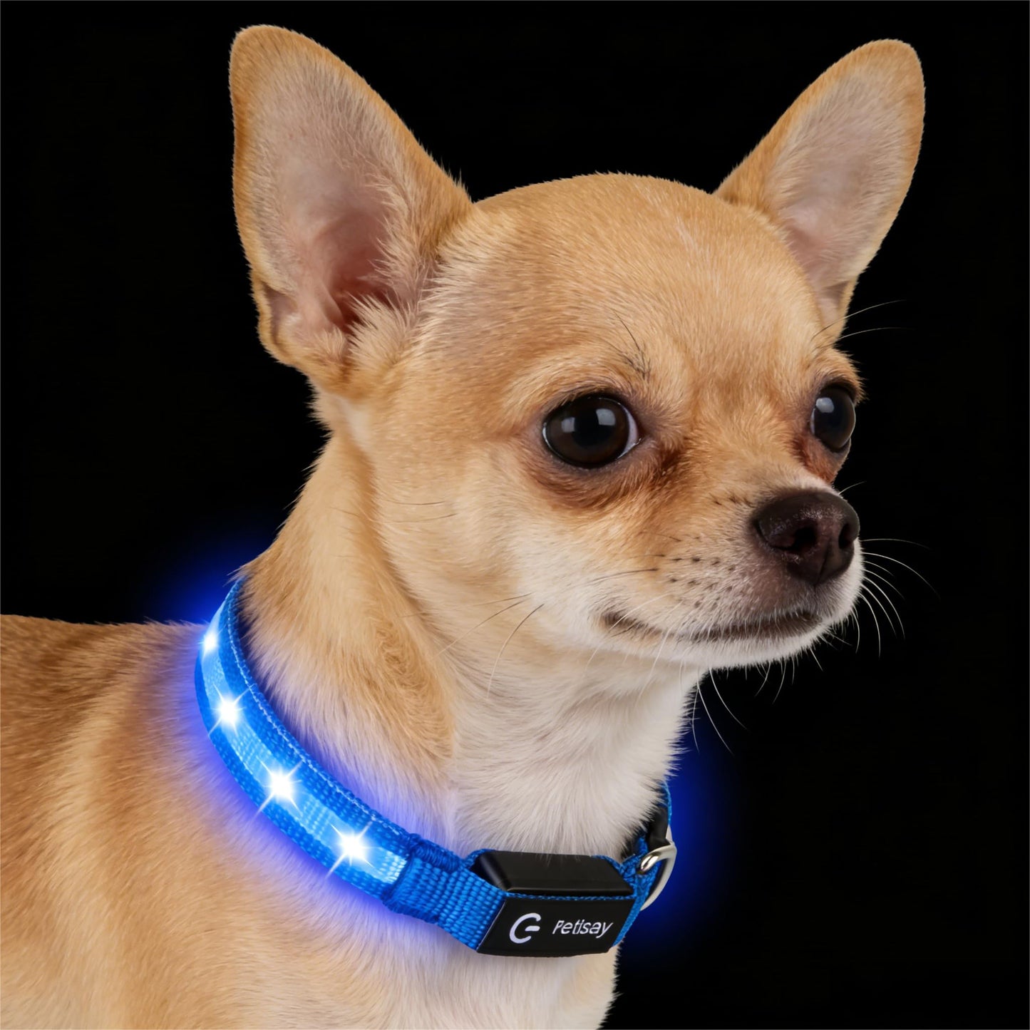 Waterproof USB-C Rechargeable LED Dog Safety Collar