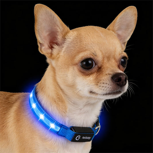 Waterproof USB-C Rechargeable LED Dog Safety Collar