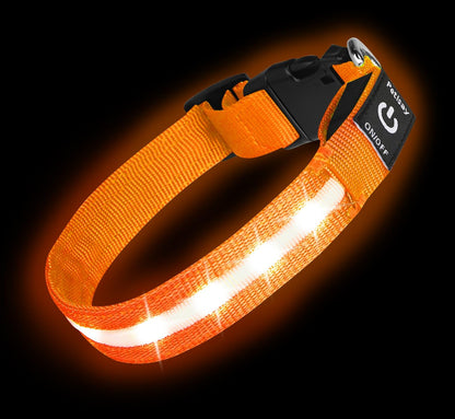 Waterproof USB-C Rechargeable LED Dog Safety Collar