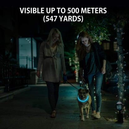 2-Pack Rechargeable LED Dog Collars for Night Safety
