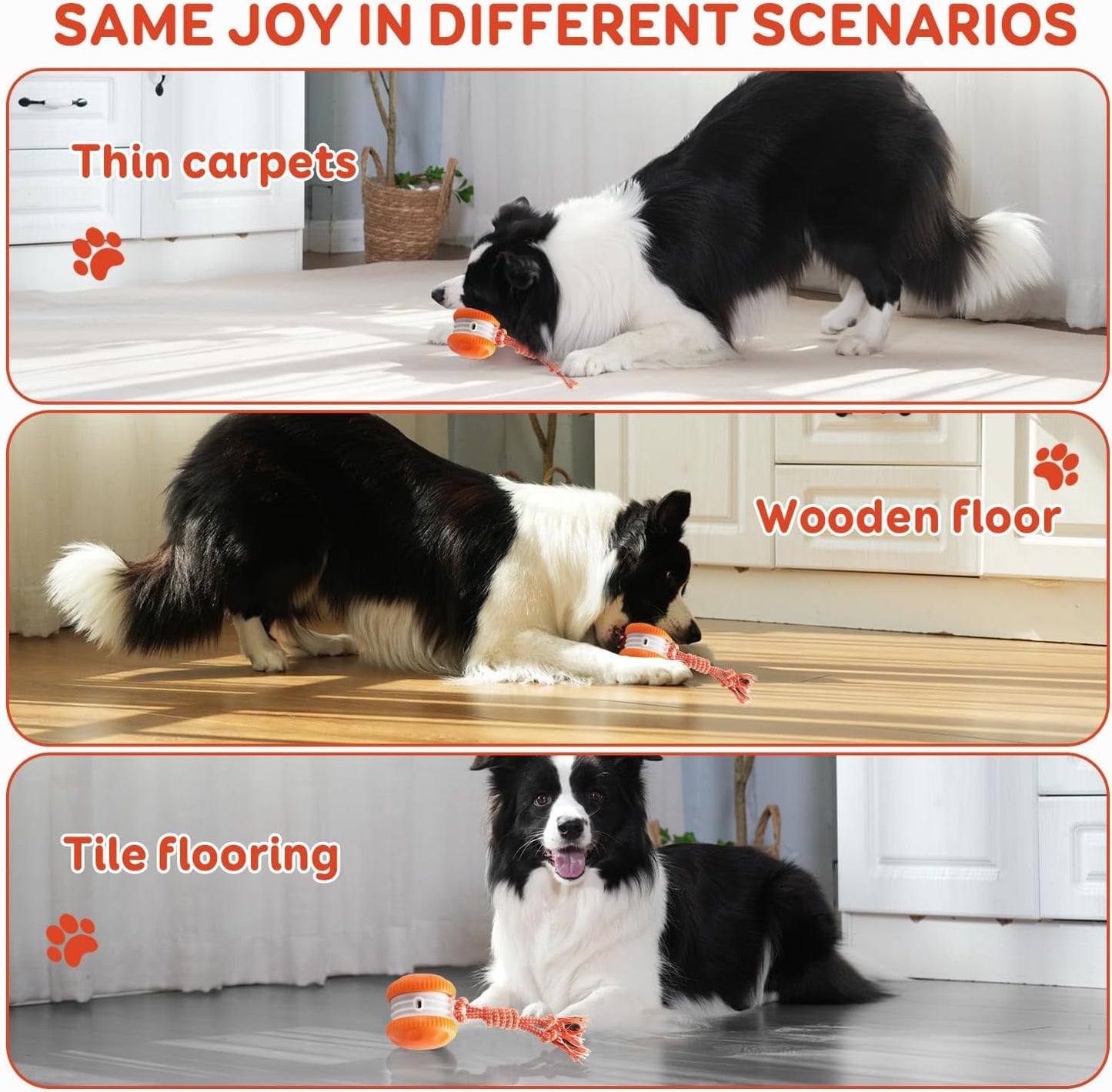 Motion-Activated Interactive Rolling Dog Ball with Rope