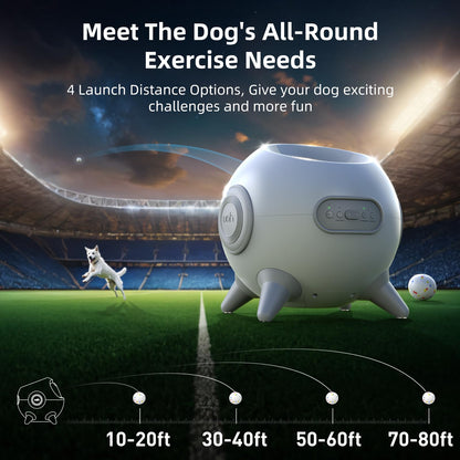 Smart WiFi Automatic Pet Door for Dogs & Cats