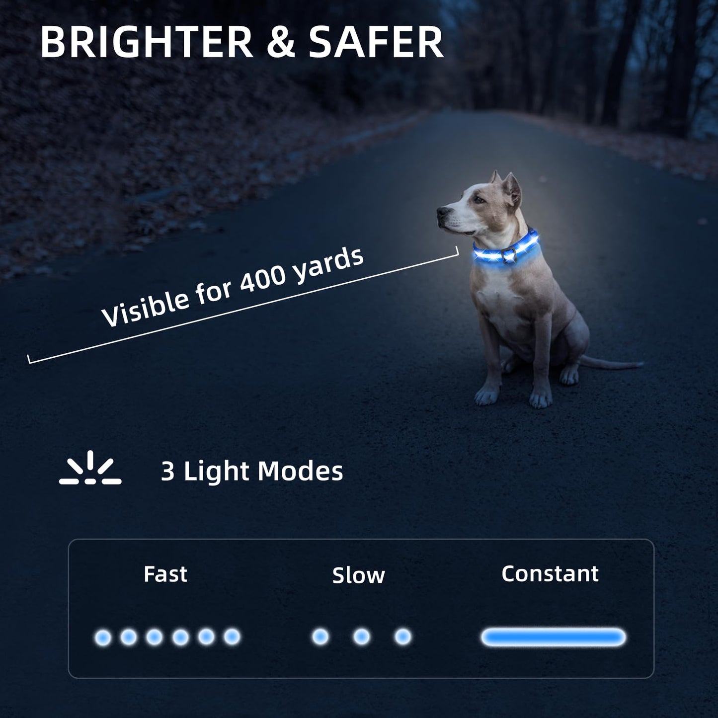 Waterproof USB-C Rechargeable LED Dog Safety Collar