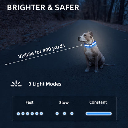 Waterproof USB-C Rechargeable LED Dog Safety Collar
