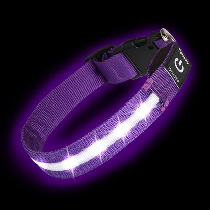 Waterproof USB-C Rechargeable LED Dog Safety Collar