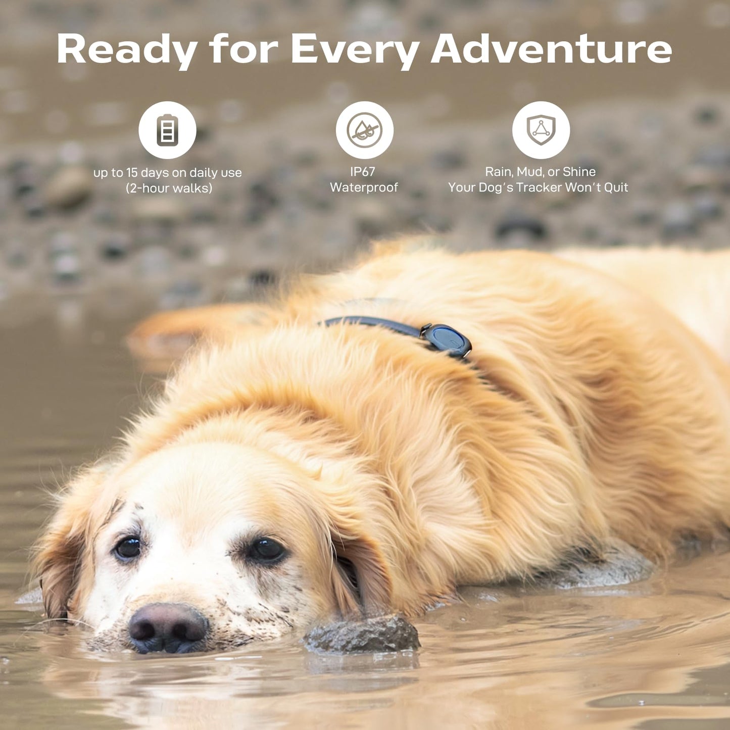 GPS Tracker for Dogs No Subscription, GPS Location Without Cell Network, Suitable for Open Areas with Poor Network Signals No Monthly Fee IP67 Waterproof (Tracker 2)