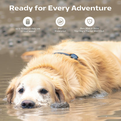 GPS Tracker for Dogs No Subscription, GPS Location Without Cell Network, Suitable for Open Areas with Poor Network Signals No Monthly Fee IP67 Waterproof (Tracker 2)