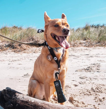 Ultrasonic Dog Bark Deterrent & Behavior Corrector