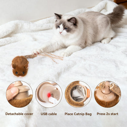 Rechargeable Interactive Cat Toy with Motion Sensor