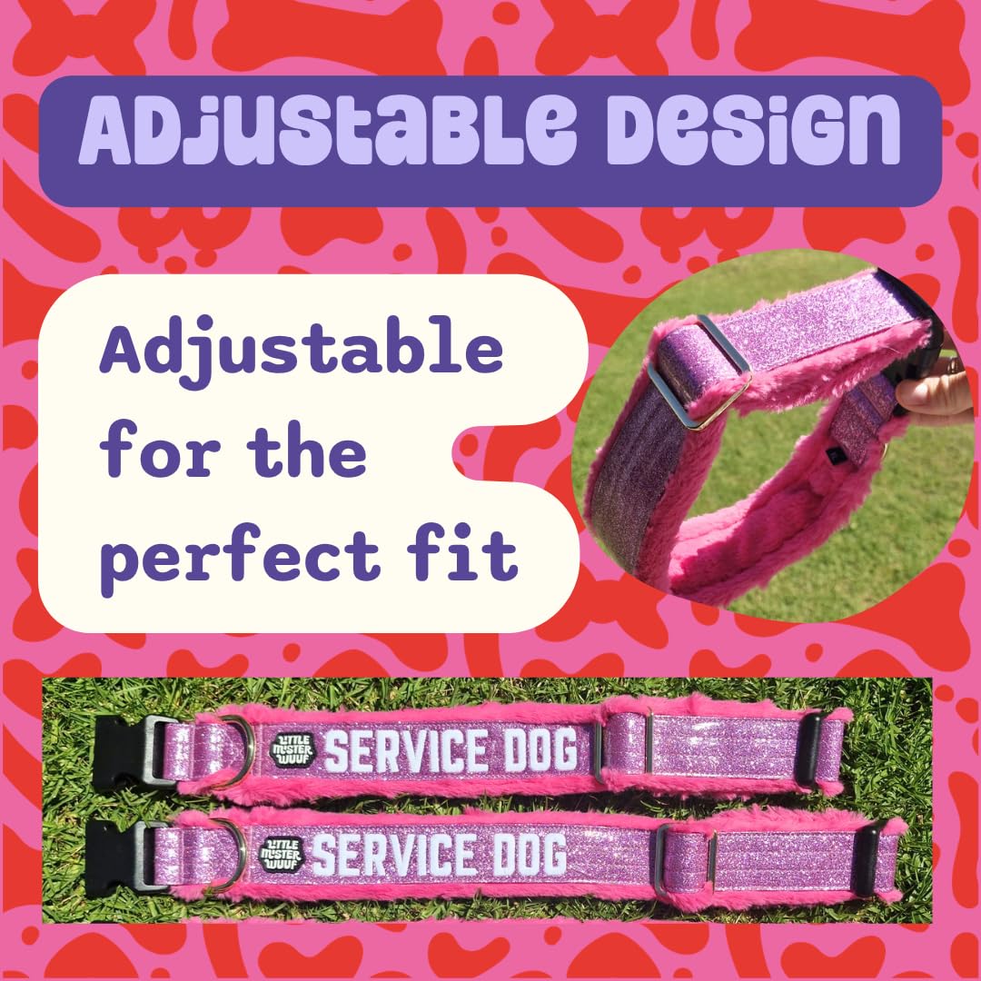Service Dog Collar, Leash & Wrap Set for Medium Dogs