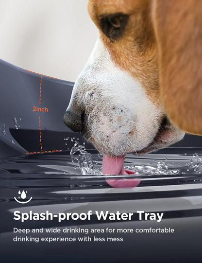 7L Large Dog Water Fountain with High-Capacity Design