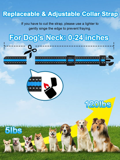 Waterproof Dual Dog Remote Training Collar 3300FT Range