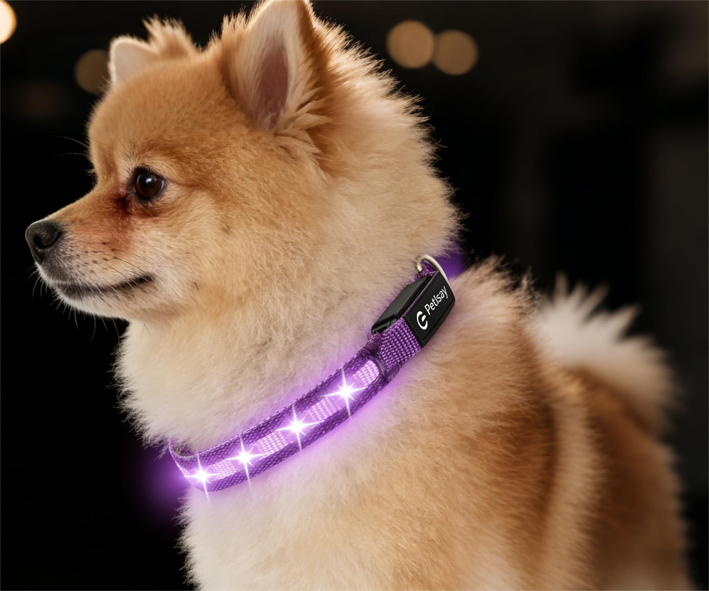 Waterproof USB-C Rechargeable LED Dog Safety Collar