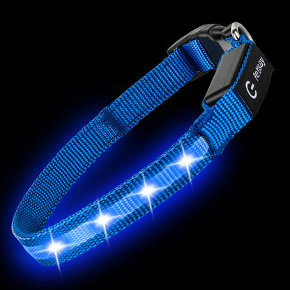 Waterproof USB-C Rechargeable LED Dog Safety Collar