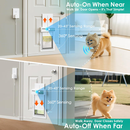 Automatic Dog Door