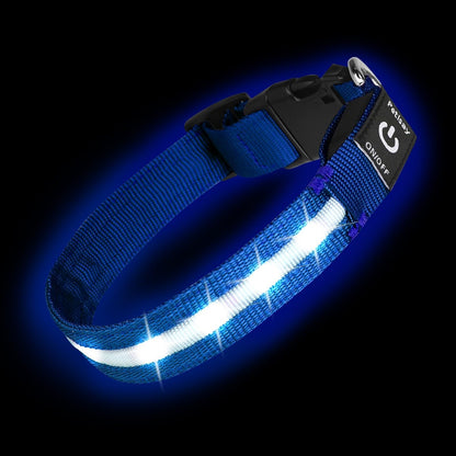 Waterproof USB-C Rechargeable LED Dog Safety Collar