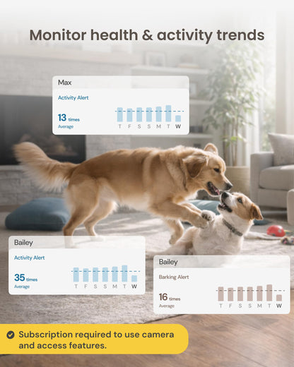 Furbo 360° Dog Camera + Mini [New Subscription Required at Setup] 2-Camera Bundle Nanny Subscription: Dog Safety & Home Security Alerts, Pet Camera with Speaker, Phone App & Night Vision
