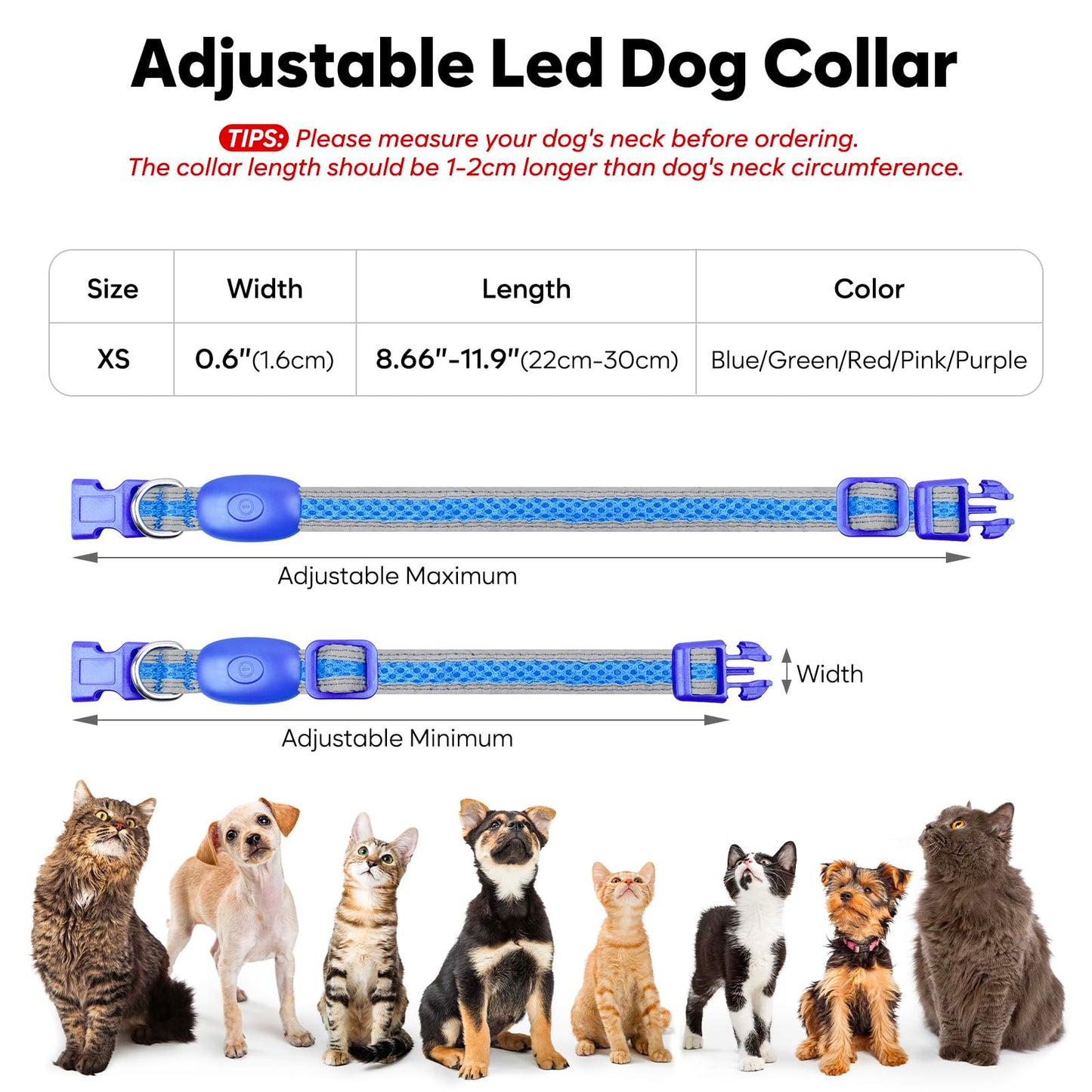 USB Rechargeable LED Light-Up Dog Safety Collar