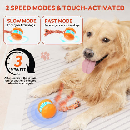Motion-Activated Interactive Rolling Dog Ball with Rope