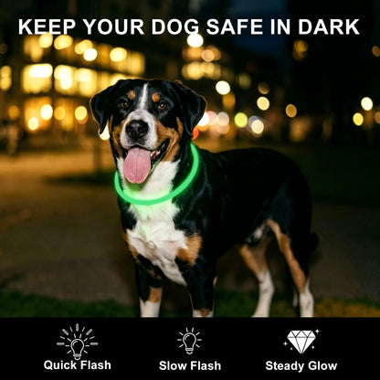 2-Pack Rechargeable LED Dog Collars for Night Safety