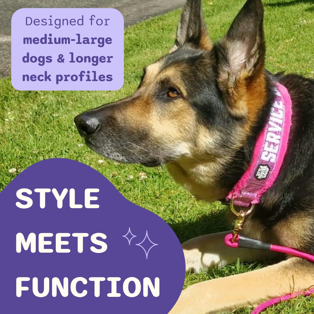 Service Dog Collar, Leash & Wrap Set for Medium Dogs