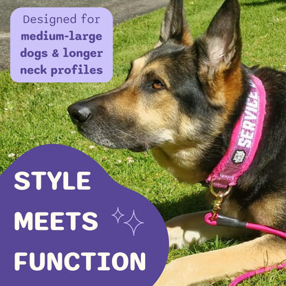 Service Dog Collar, Leash & Wrap Set for Medium Dogs