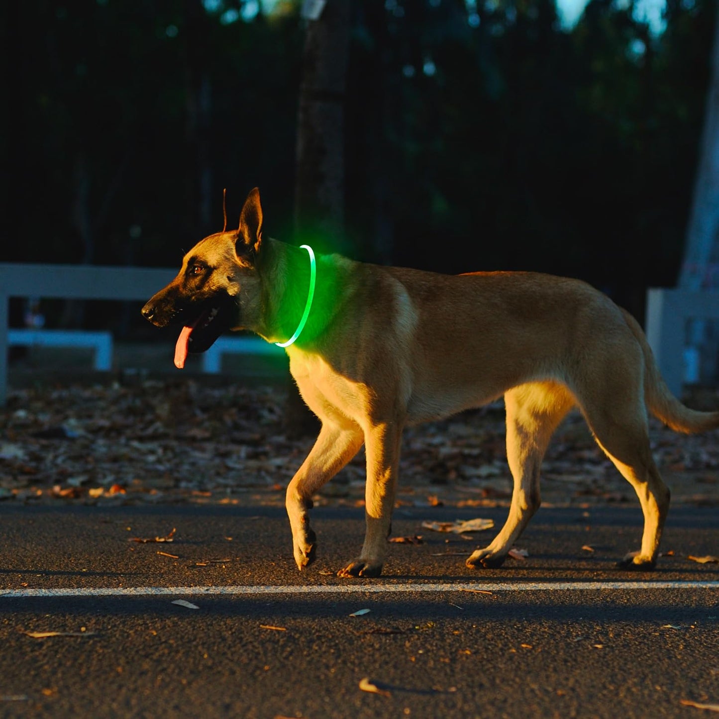 2-Pack Rechargeable LED Dog Collars for Night Safety