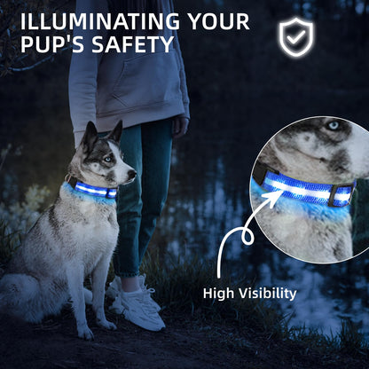 Waterproof USB-C Rechargeable LED Dog Safety Collar