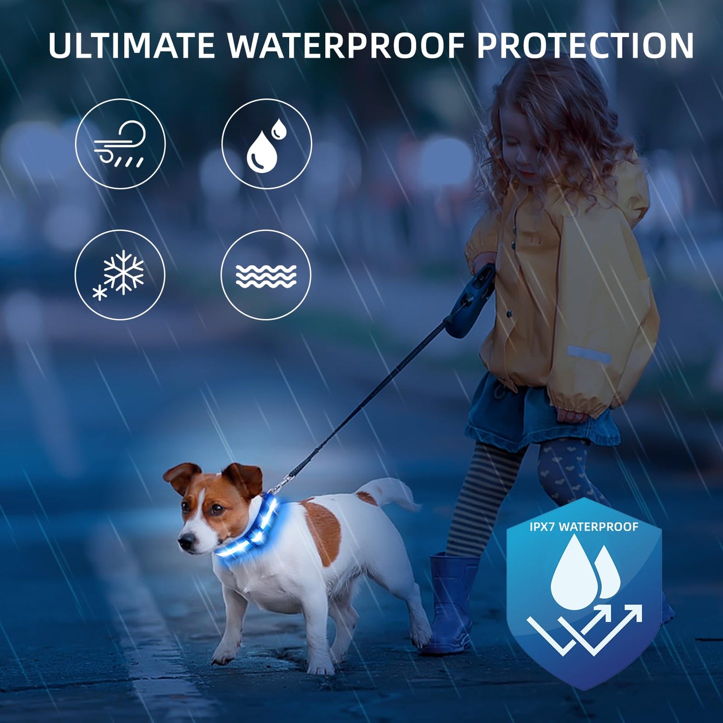 Waterproof USB-C Rechargeable LED Dog Safety Collar