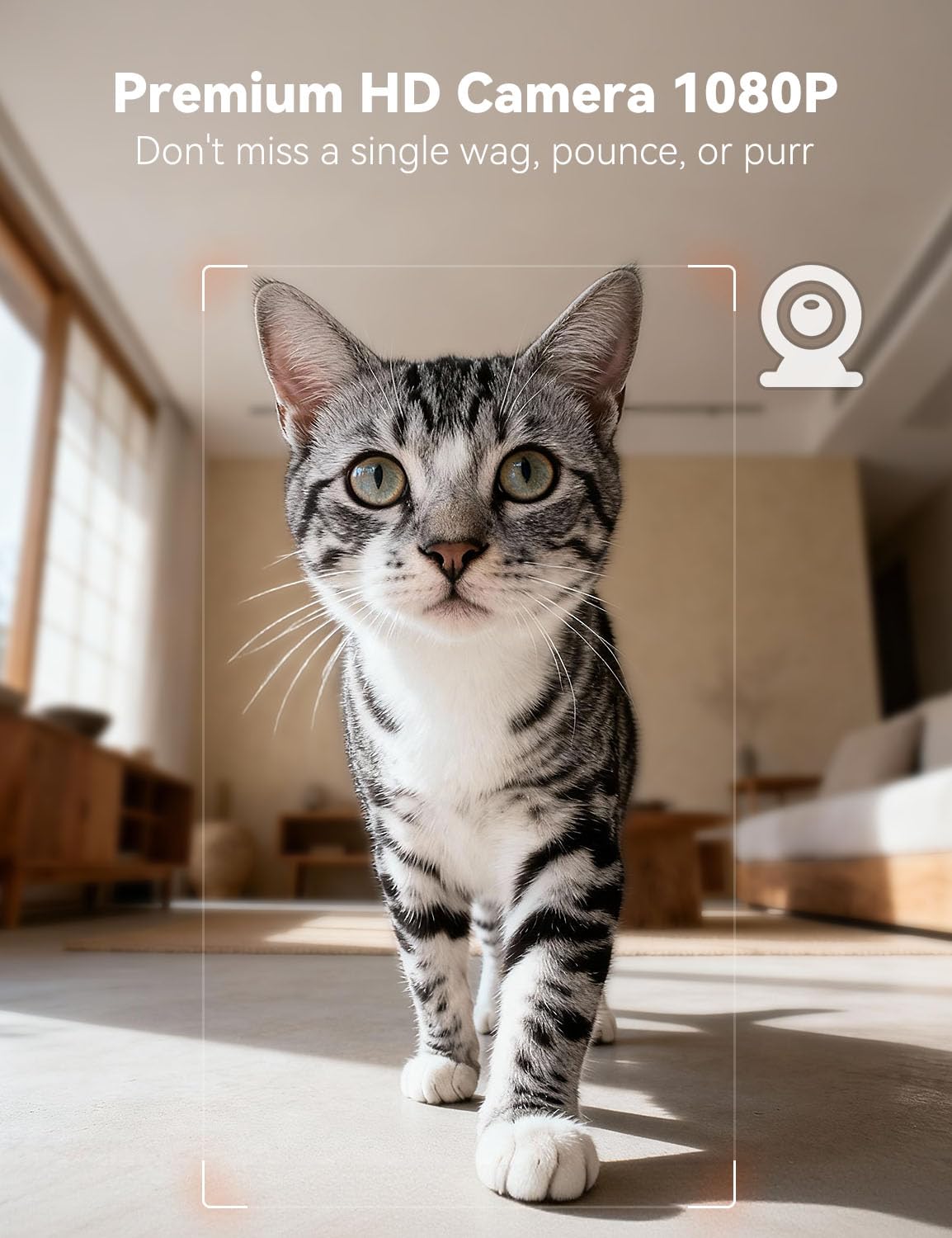 WOPET Automatic Cat and Dog Feeder