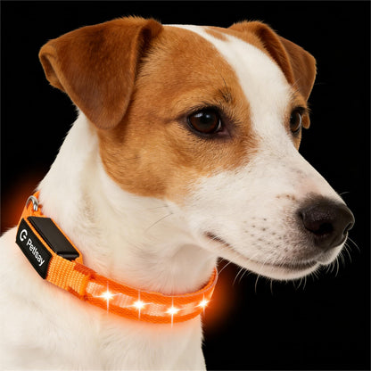 Waterproof USB-C Rechargeable LED Dog Safety Collar