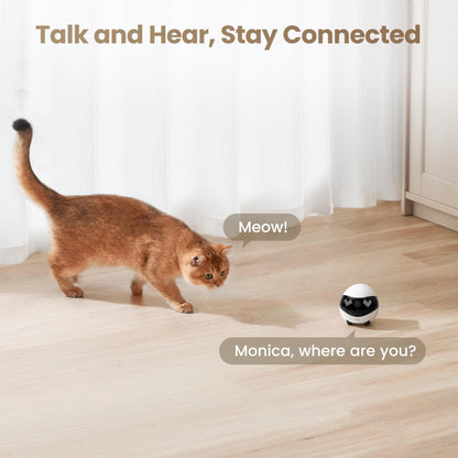Indoor Security Camera Robot EBO Air 2: 2K Pet Camera, Movable Home Robot, Custom Facial Expression, Auto-Recharge, Battery-Operated, 2-Way Talk, Night Vision, 32GB Memory Card