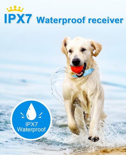 Waterproof Rechargeable Remote Dog Training Collar