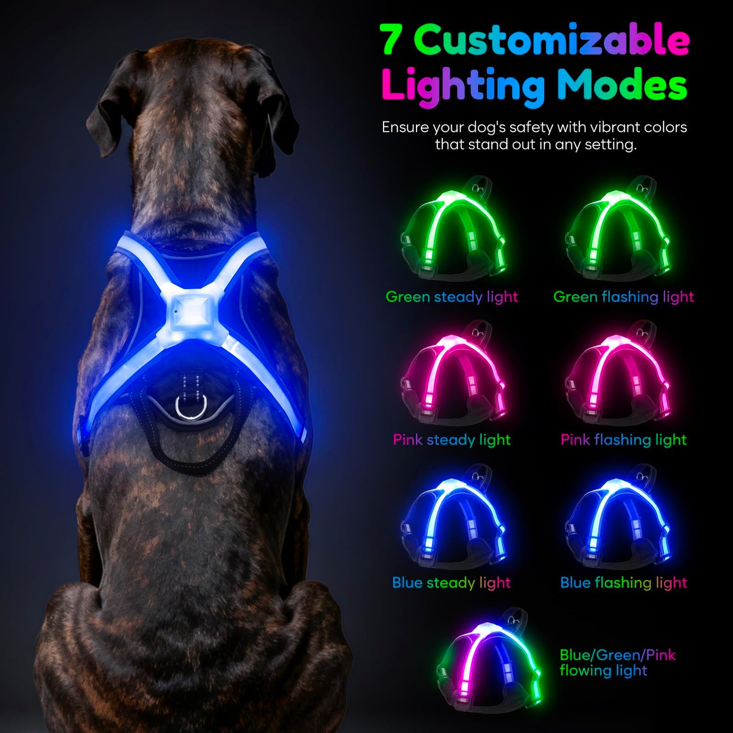 USB-C Rechargeable LED Dog Harness for Night Walking