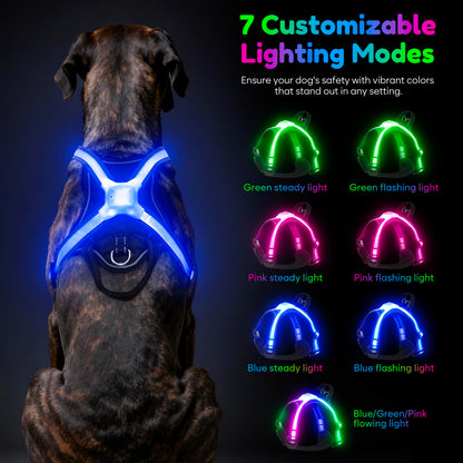 USB-C Rechargeable LED Dog Harness for Night Walking