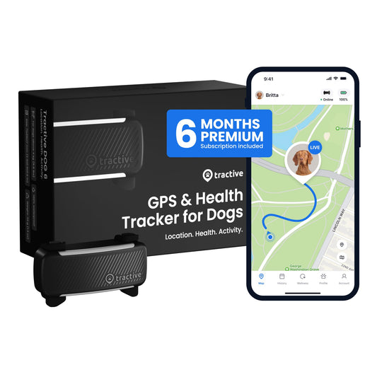 Dog GPS Tracker with Live Location & Virtual Fence