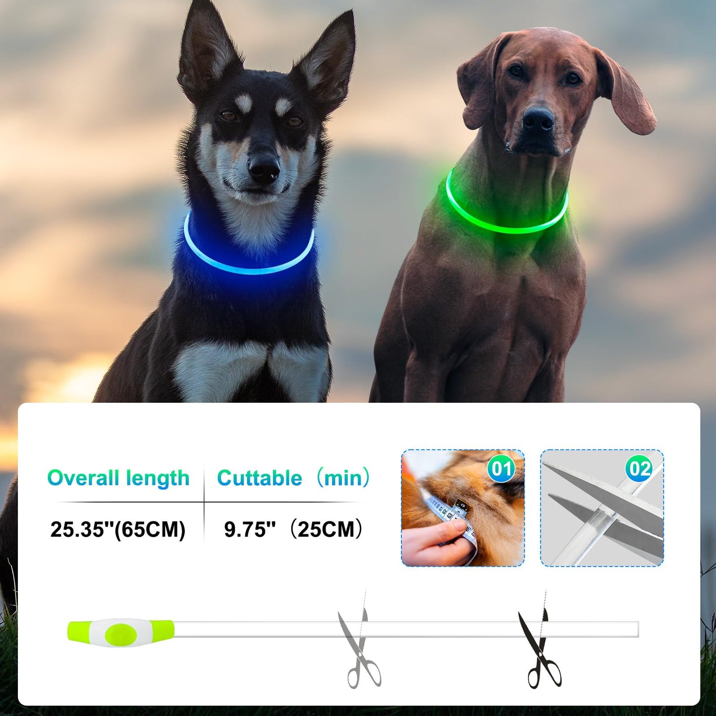 2-Pack Rechargeable LED Dog Collars for Night Safety