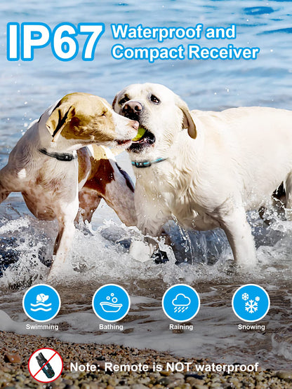 Waterproof Dual Dog Remote Training Collar 3300FT Range