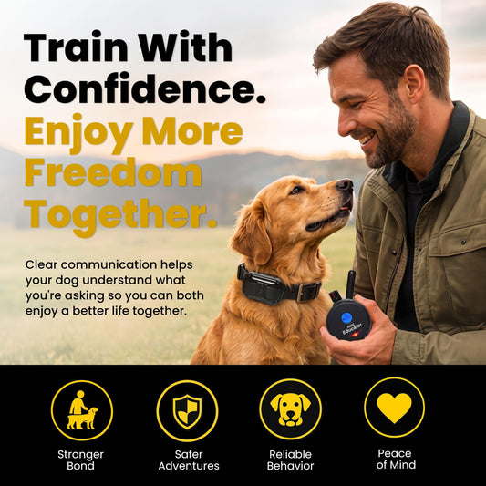Mini Remote Dog Training Collar with Adjustable Levels