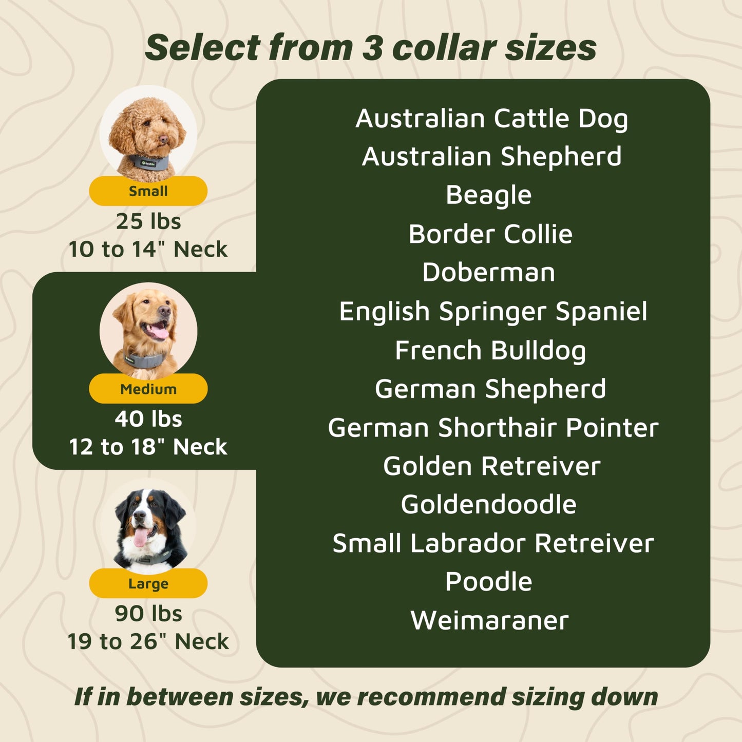 GPS Wireless Dog Fence Collar & Containment System