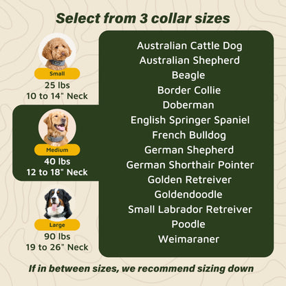 GPS Wireless Dog Fence Collar & Containment System