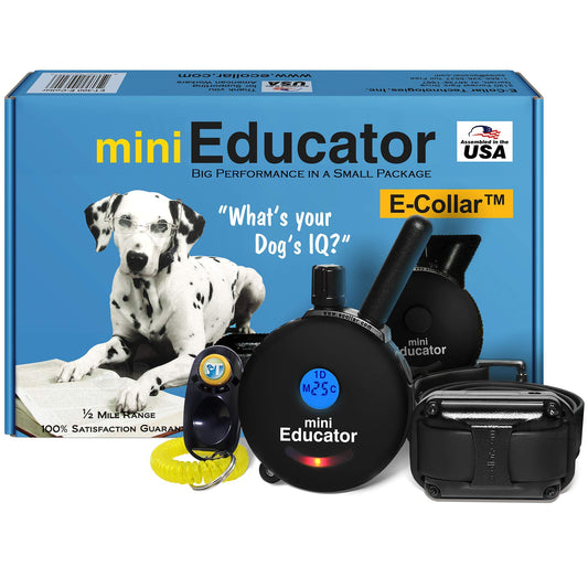 Mini Remote Dog Training Collar with Adjustable Levels