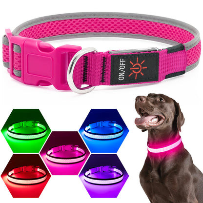 USB Rechargeable LED Light-Up Dog Safety Collar