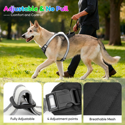 USB-C Rechargeable LED Dog Harness for Night Walking
