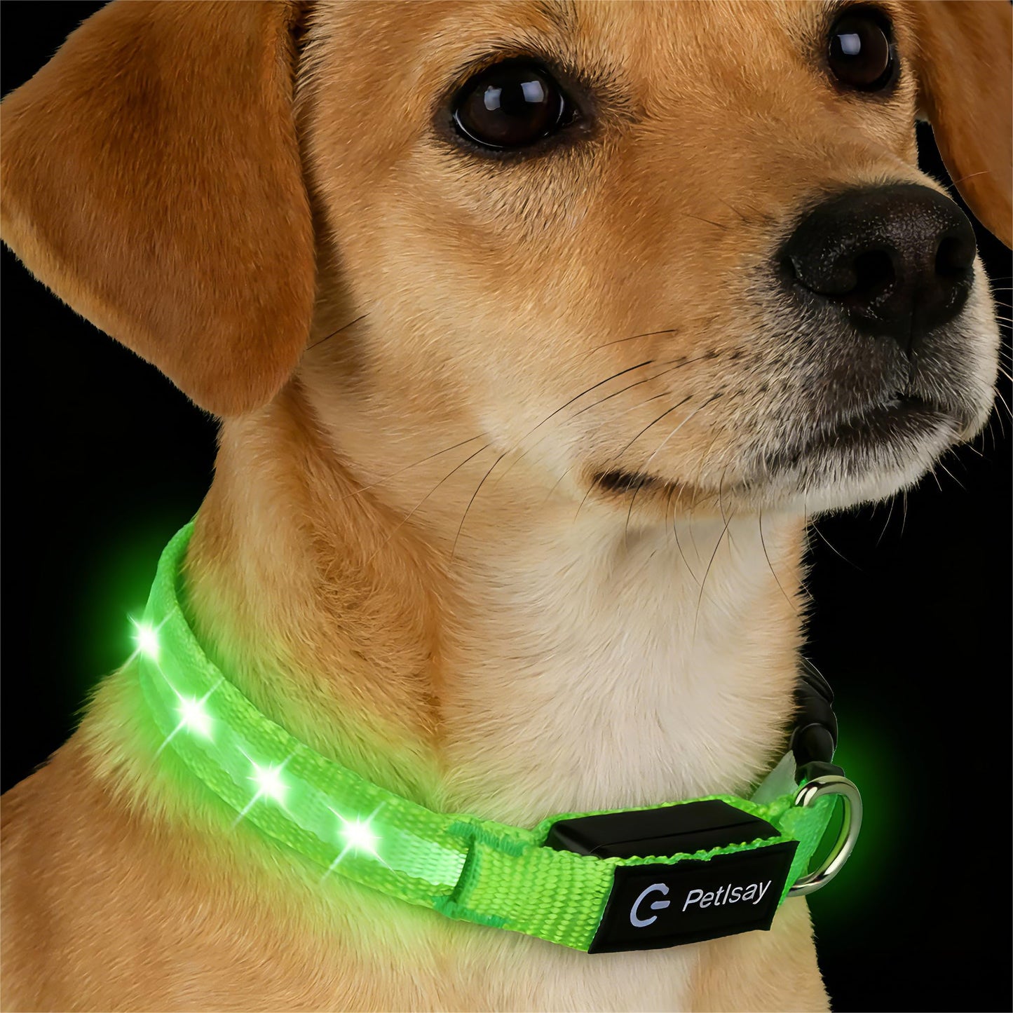 Waterproof USB-C Rechargeable LED Dog Safety Collar