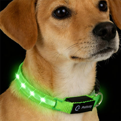 Waterproof USB-C Rechargeable LED Dog Safety Collar