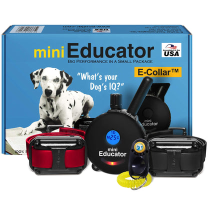 Mini Remote Dog Training Collar with Adjustable Levels