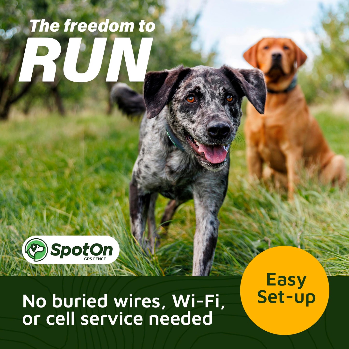 GPS Wireless Dog Fence Collar & Containment System