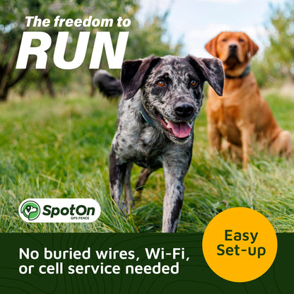GPS Wireless Dog Fence Collar & Containment System