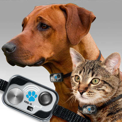 Power Pet Smart Automatic Electronic Pet Door by High Tech Pet